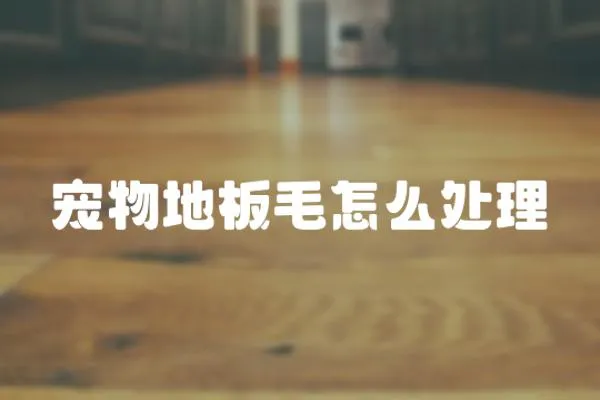 寵物地板毛怎么處理