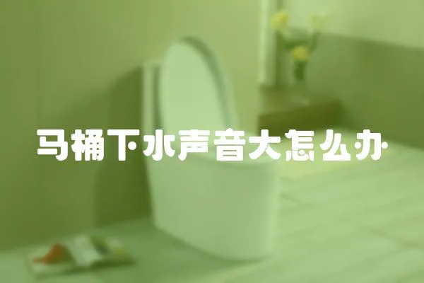 馬桶下水聲音大怎么辦