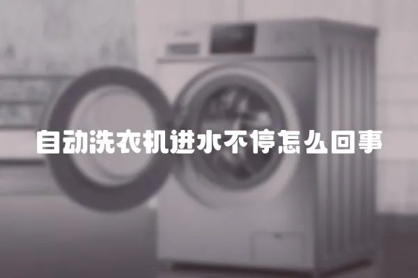 自動洗衣機進水不停怎么回事