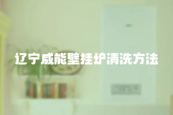 遼寧威能壁掛爐清洗方法