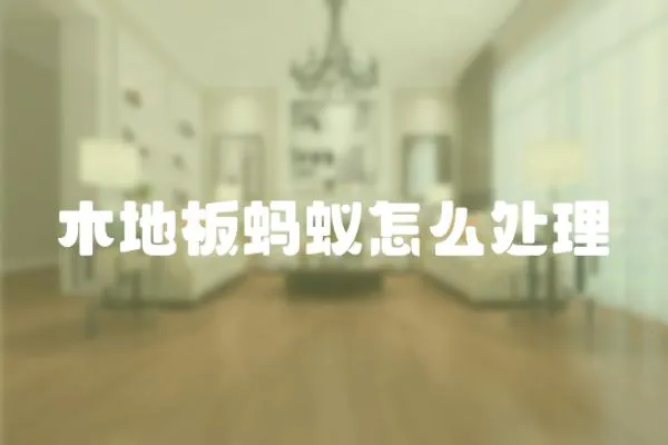 木地板螞蟻怎么處理