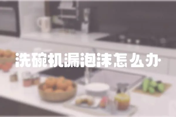 洗碗機漏泡沫怎么辦