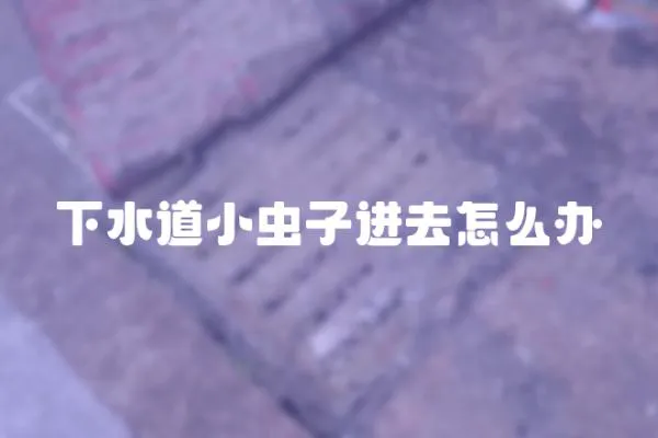 下水道小蟲子進去怎么辦