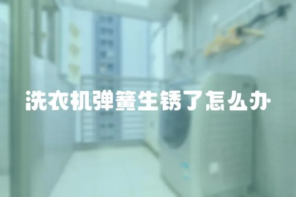 洗衣機彈簧生銹了怎么辦