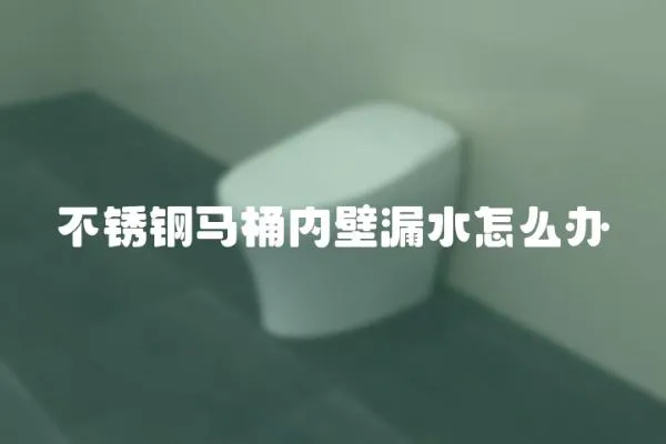 不锈钢马桶内壁漏水怎么办