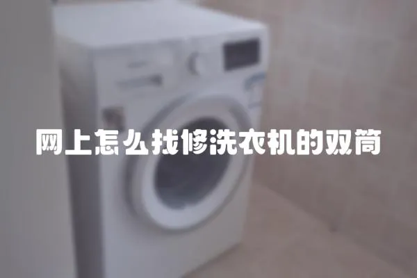 網上怎么找修洗衣機的雙筒