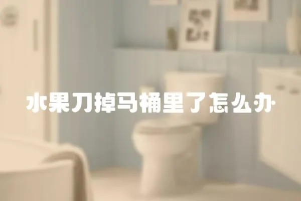 水果刀掉馬桶里了怎么辦
