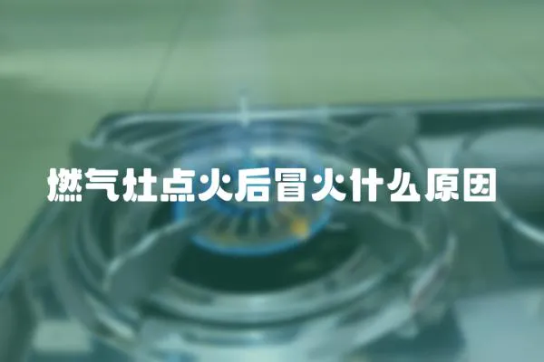 燃氣灶點火后冒火什么原因