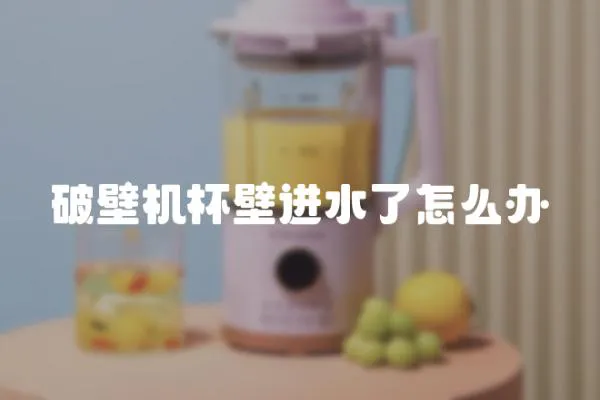 破壁機杯壁進水了怎么辦