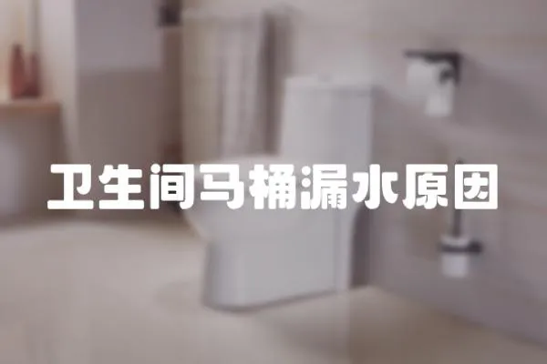 衛(wèi)生間馬桶漏水原因