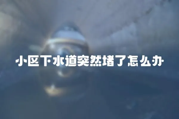 小區下水道突然堵了怎么辦