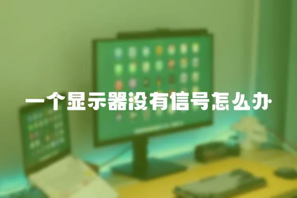 一個顯示器沒有信號怎么辦