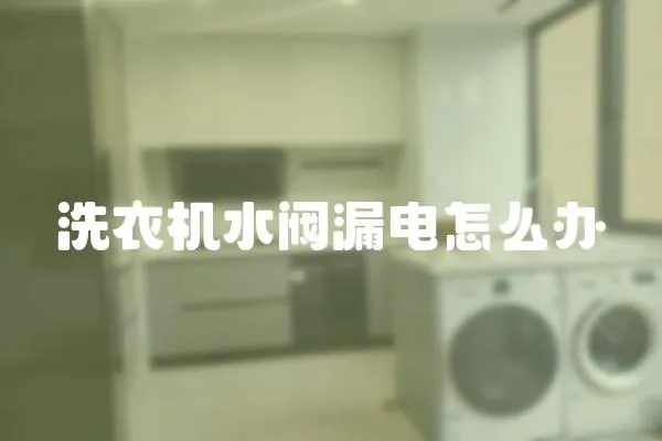 洗衣機水閥漏電怎么辦