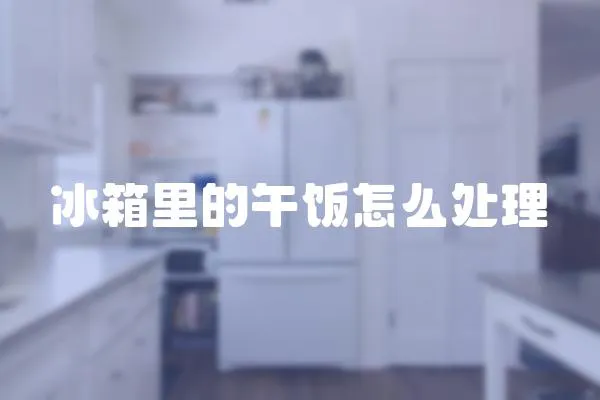 冰箱里的午飯怎么處理