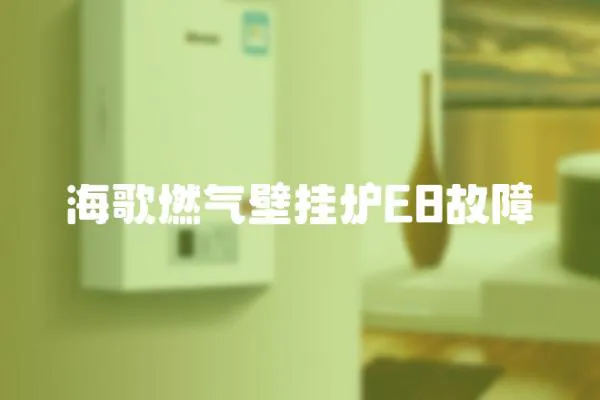 海歌燃氣壁掛爐E8故障