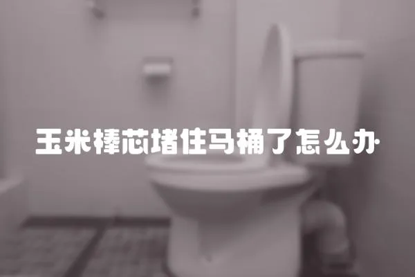 玉米棒芯堵住馬桶了怎么辦