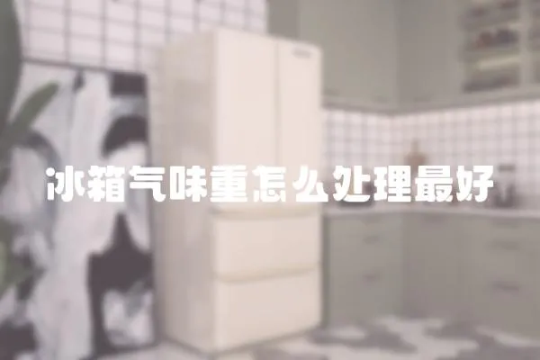 冰箱氣味重怎么處理最好