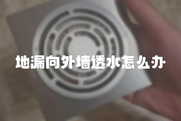 地漏向外墻透水怎么辦
