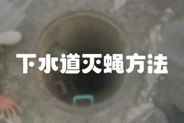 下水道滅蠅方法