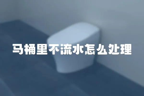 馬桶里不流水怎么處理