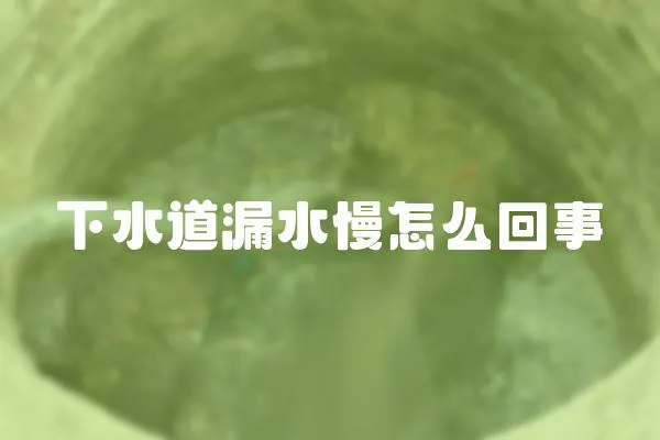 下水道漏水慢怎么回事