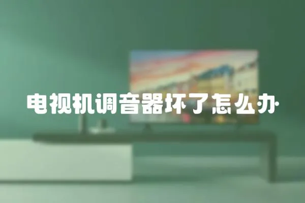 電視機調(diào)音器壞了怎么辦