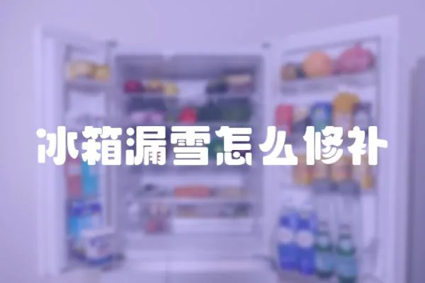 冰箱漏雪怎么修補(bǔ)