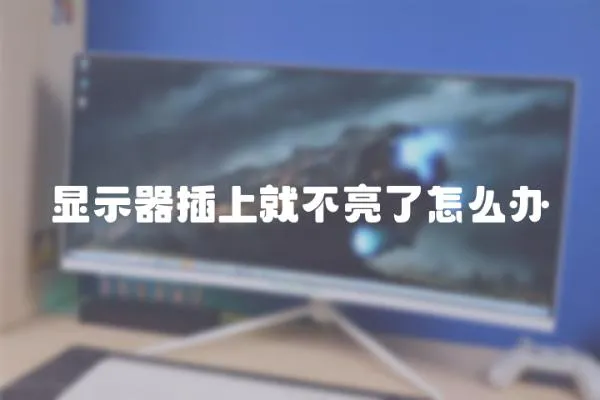 顯示器插上就不亮了怎么辦