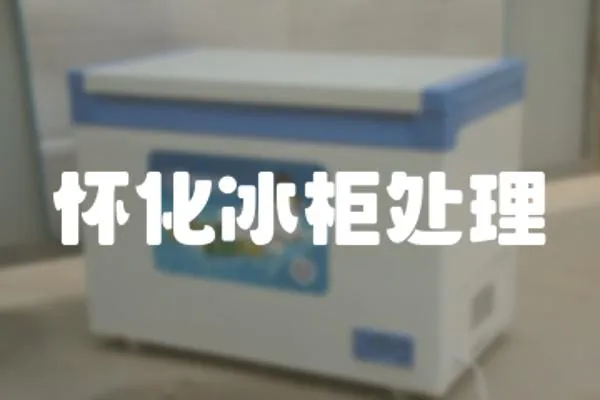 懷化冰柜處理