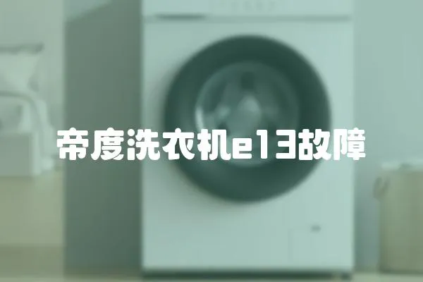 帝度洗衣機e13故障