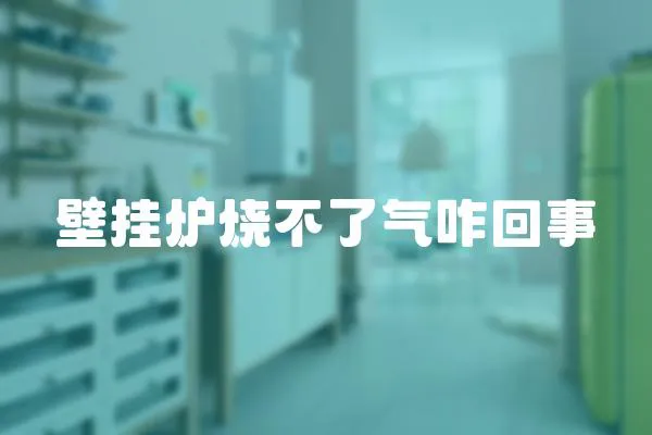 壁掛爐燒不了氣咋回事