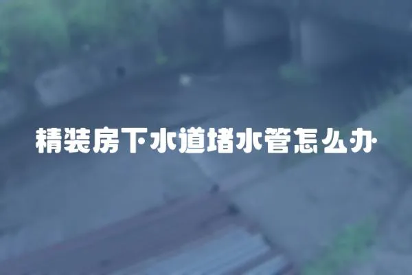 精裝房下水道堵水管怎么辦