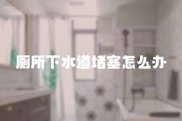 廁所下水道堵塞怎么辦