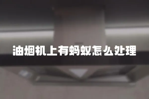 油煙機上有螞蟻怎么處理