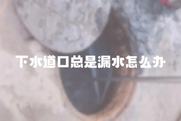 下水道口總是漏水怎么辦