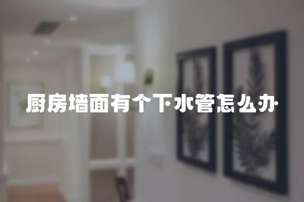 廚房墻面有個(gè)下水管怎么辦