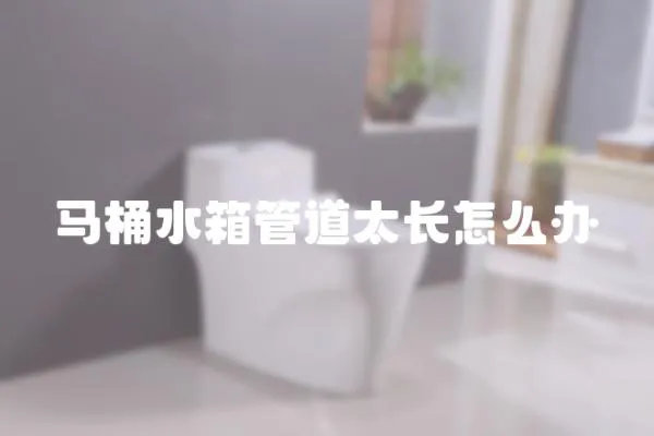 馬桶水箱管道太長(zhǎng)怎么辦