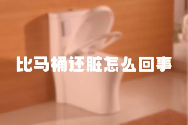 比馬桶還臟怎么回事