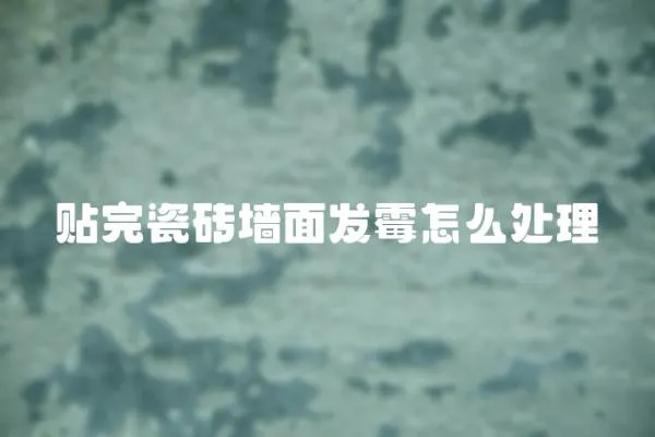 貼完瓷磚墻面發霉怎么處理