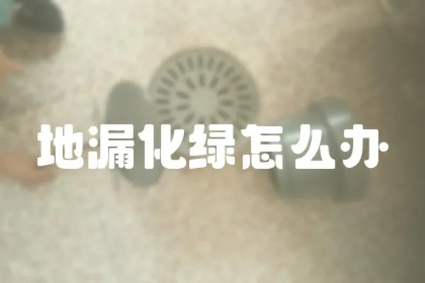 地漏化綠怎么辦
