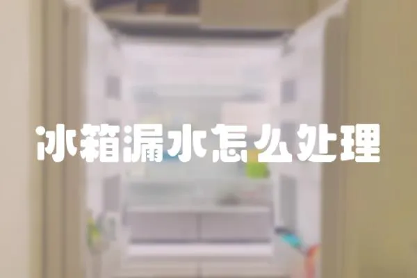 冰箱漏水怎么處理