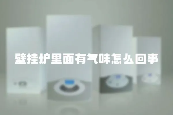 壁掛爐里面有氣味怎么回事