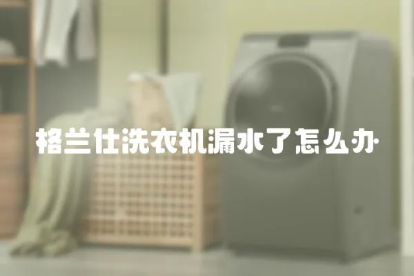 格蘭仕洗衣機漏水了怎么辦