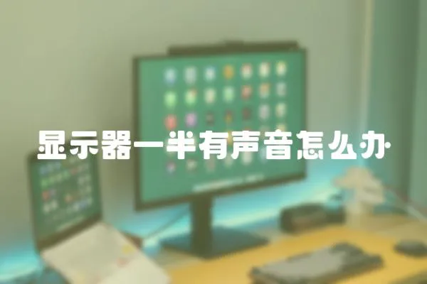 顯示器一半有聲音怎么辦