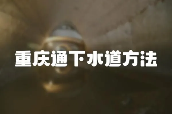 重慶通下水道方法