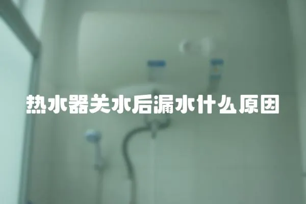 熱水器關水后漏水什么原因