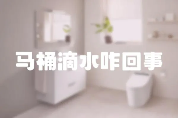馬桶滴水咋回事