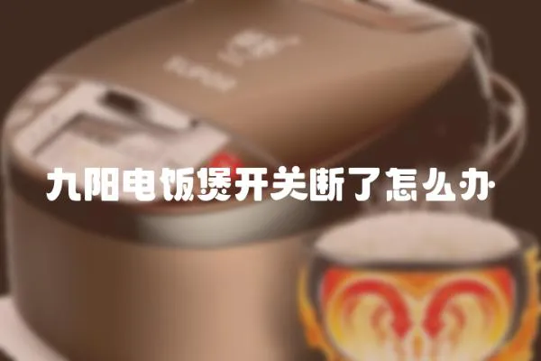 九陽(yáng)電飯煲開(kāi)關(guān)斷了怎么辦