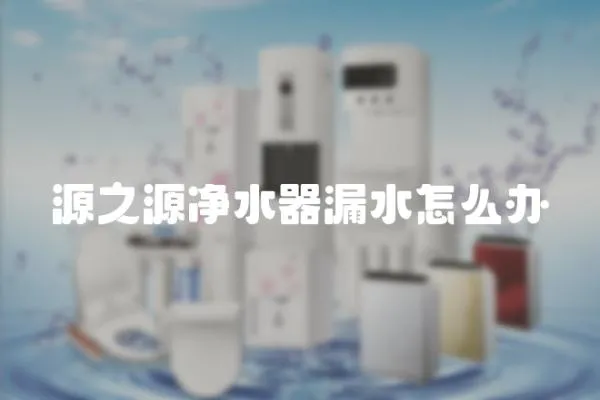 源之源凈水器漏水怎么辦