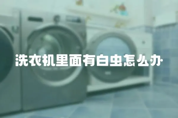 洗衣機里面有白蟲怎么辦